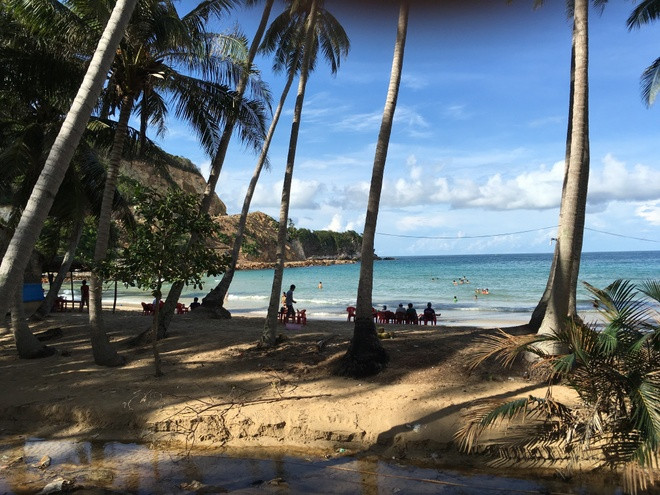 Những hàng dừa vươn ra biển xanh, bạn sẽ có cảm giác như mình đang ở Hawaii.