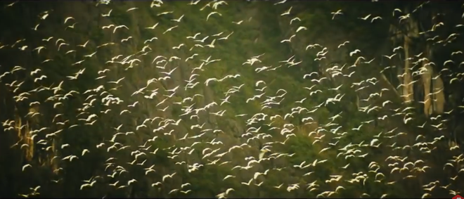 Một cảnh trong trailer cũng cho thấy nhân vật sĩ quan Jarkard do Samuel L Jackson đóng uy hiếp kẻ địch trong thung lũng Ninh Bình, sau đó gây ấn tượng bằng đàn cò trắng ở khu đầm Vân Long.