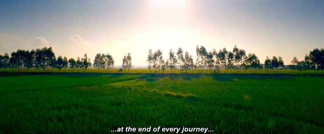 Cánh đồng quê Ninh Bình hiện lên chân thực, sắc nét với vẻ đẹp yên bình.