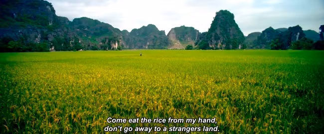 Quần thể Tam Cốc - Bích Động làm xao lòng bất kỳ ai, với vẻ đẹp của cánh đồng lúa miên man, đầy mộc mạc và dân dã, uốn lượn quanh dòng Ngô Đồng chảy nhẹ. Trên mặt nước trong xanh ấy ẩn hiện bóng dáng của những dãy núi đá vôi sừng sững xung quanh.