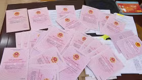 Sai phạm khi cấp sổ đỏ sẽ được tiếp nhận, xử lý qua đường dây nóng