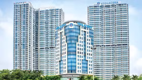 Viglacera mạnh tay “đại phẫu”, chấm dứt 3 cơ sở kinh doanh, tái cấu trúc cả sản xuất, bất động sản