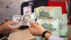 Tỷ giá USD hôm nay ngày 15/1: Đồng bạc xanh ổn định ở cả hai thị trường