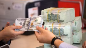 Tỷ giá USD hôm nay ngày 15/1: Đồng bạc xanh ổn định ở cả hai thị trường