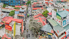 Hà Nội cưỡng chế thu hồi đất để thực hiện dự án mở rộng theo quy hoạch tuyến phố Nguyễn Tuân