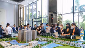 Những điều kiện bắt buộc trong kinh doanh dịch vụ tư vấn, quản lý bất động sản