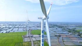 Công ty Cổ phần KOSY chậm đóng 16 tháng tiền bảo hiểm xã hội và bảo hiểm khác