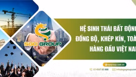 Tập đoàn SGO chậm đóng 123 triệu đồng tiền bảo hiểm xã hội và bảo hiểm khác