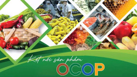 Nâng giá trị sản phẩm OCOP