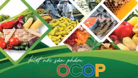 Nâng giá trị sản phẩm OCOP