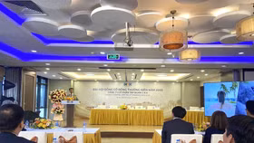 Ông Đoàn Văn Bình, Chủ tịch Hội đồng quản trị Tập đoàn C.E.O phát biểu