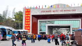 Tour du lịch 0 đồng: Miếng phô mai miễn phí trong chiếc bẫy chuột