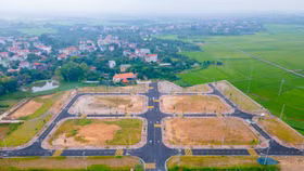 Phúc Thọ đấu giá đất thành công 39 lô đất