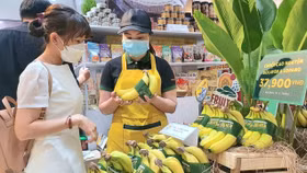 HAG giải thể công ty con tại Gia Lai