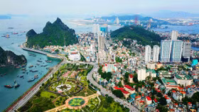 Thị trường bất động sản Quảng Ninh chứng kiến giá đất nền đi ngang