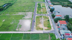 Nâng tiền đặt cọc trong đấu giá đất không thể giải quyết triệt để được vấn đề thổi giá, bỏ cọc