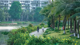 Phủ xanh bất động sản Việt Nam