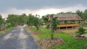 Cách xác định đất vườn, ao gắn liền đất ở để được miễn giảm tiền khi chuyển đổi mục đích sử dụng