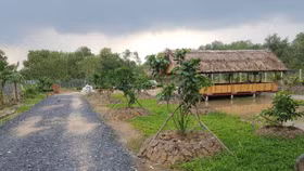 Cách xác định đất vườn, ao gắn liền đất ở để được miễn giảm tiền khi chuyển đổi mục đích sử dụng