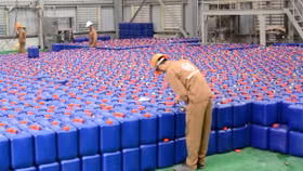 Một nhà máy của Tập đoàn Hóa chất Đức Giang