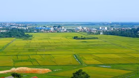 Chính phủ chính thức ban hành Nghị định số 49/2026/NĐ-CP quy định chi tiết và hướng dẫn thi hành một số điều của Nghị quyết 254/2025/QH15 của Quốc hội