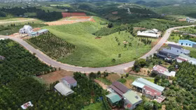 Hộ gia đình, cá nhân đang sử dụng đất nông nghiệp nếu đủ điều kiện được bồi thường về đất thì được hỗ trợ ổn định đời sống