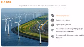 Công ty Cổ phần Đầu tư Khai khoáng và Quản lý Tài sản FLC bị xử phạt hành chính