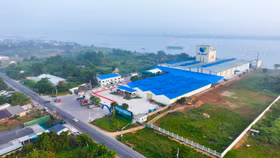 Doanh nghiệp Hà Lan hơn 100 năm tuổi “bắt tay” các ông lớn chăn nuôi Việt