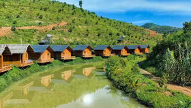 Farmstay: Phân khúc đầy tiềm năng của thị trường bất động sản