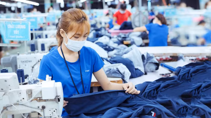 Tháng 1/2024, lợi nhuận Dệt may TNG tăng gấp 3 lần cùng kỳ