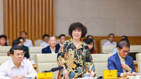 Anh hùng Lao động Thái Hương phát biểu tại Hội nghị của Thường trực Chính phủ làm việc với các doanh nghiệp sáng 21/9