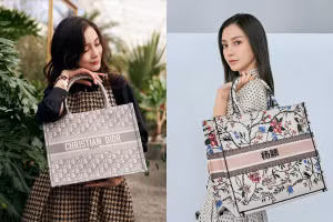 Có nên đầu tư cho chiếc túi xách Dior Book Tote đắt đỏ?