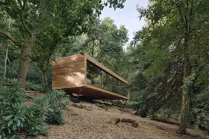 Looking Glass Lodge trong rừng sâu: Một cabin tâm hồn cho mỗi người