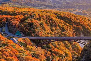 Cung đường đẹp bậc nhất Nhật Bản vào mùa thu lá đỏ