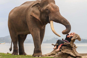 Chàng trai Tây Nguyên làm du lịch thân thiện với voi