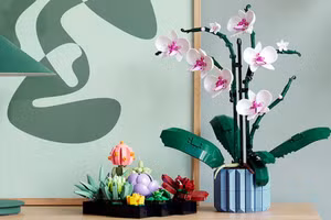 LEGO Creator mang phong lan và cây mọng nước tới Bộ sưu tập Thực vật của mình