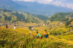 Du lịch Sapa: Chuyến đi trắc trở của cô nàng “bánh bèo”