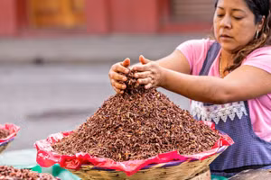 Những món ăn độc lạ nên thử khi đển Mexico