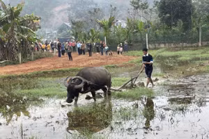 Sôi nổi lễ hội Lồng tồng ở Tân Hợp