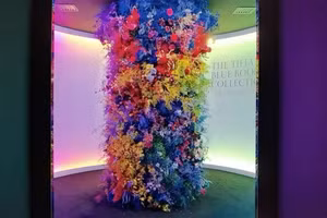 Tiffany 2021 BlueBook Collection - Lần đầu tiên viên kim cương 80 carat được trưng bày tại Đông Nam Á