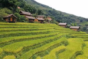 Những khu nghỉ dưỡng mang hơi thở của vùng cao