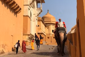 19 ngày vừa lo vừa vui của cô gái Việt ở Ấn Độ