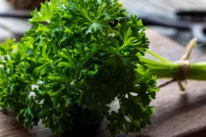 5 thực phẩm dễ kiếm giúp hơi thở thơm tho, tự tin giao tiếp