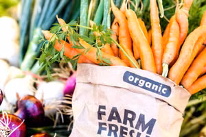 Lợi ích của thực phẩm hữu cơ trong việc giảm thiểu khả năng mắc bệnh ung thư