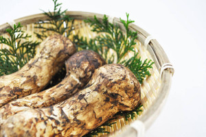 Nấm Matsutake - viên bảo ngọc của ẩm thực châu Á