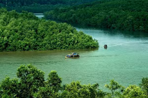 Khu Dự trữ sinh quyển rừng ngập mặn Cần Giờ - “Lá phổi xanh” của TP.HCM