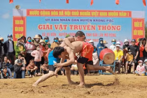 Đắk Lắk: Giải vật truyền thống huyện Krông Pắc xuân mới 2023