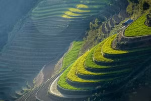 Khám phá thửa ruộng bậc thang lưng chừng giữa mây trời vùng Tây Bắc