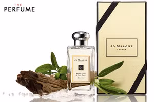 Những dòng nước hoa Jo Malone London được các sao nữ yêu thích