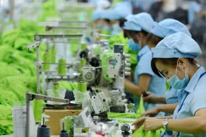 Đan Mạch - Thúc đẩy nghiên cứu xanh trong thiết kế thời trang và dệt may